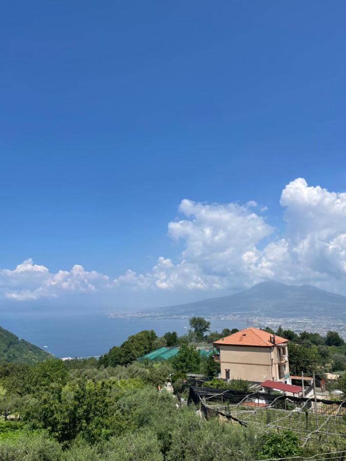 Villa Marilu Pimonte Exterior photo
